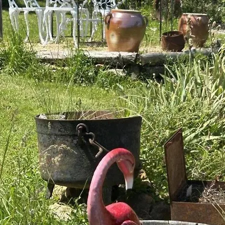 Charmante Maison En Perigord Pour 2 Avec Terrasse Privative - Fr-1-616-493 Feriehus *