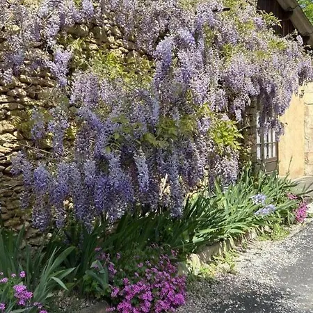 Charmante Maison En Perigord Pour 2 Avec Terrasse Privative - Fr-1-616-493 Feriehus Siorac-en-Périgord